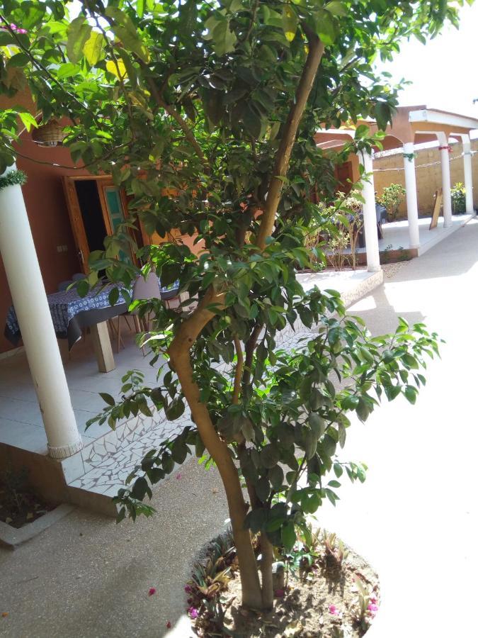 Chez Coumba Et Daniel Acomodação com café da manhã Saly Portudal Exterior foto